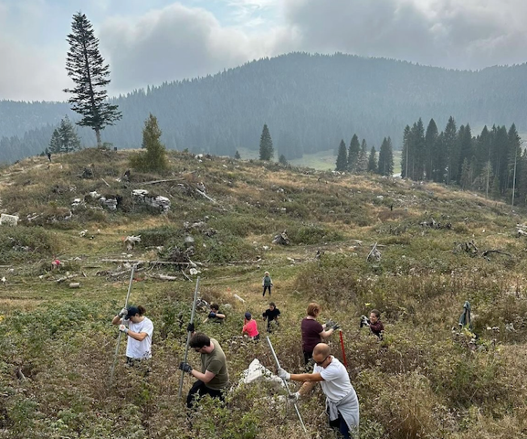 IL BOSCO DEL ROTARY: UN APPUNTAMENTO DA NON PERDERE